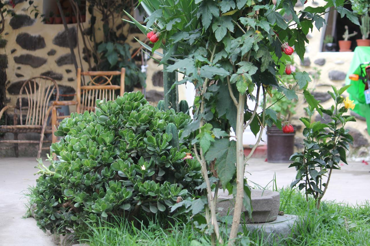 Killari B&B Ollantaytambo Exterior foto